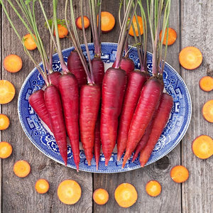 Cosmic Purple Carrot - High Mowing Organic Seeds