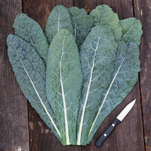 Load image into Gallery viewer, Lacinato Dinosaur Kale - High Mowing Organic Seeds