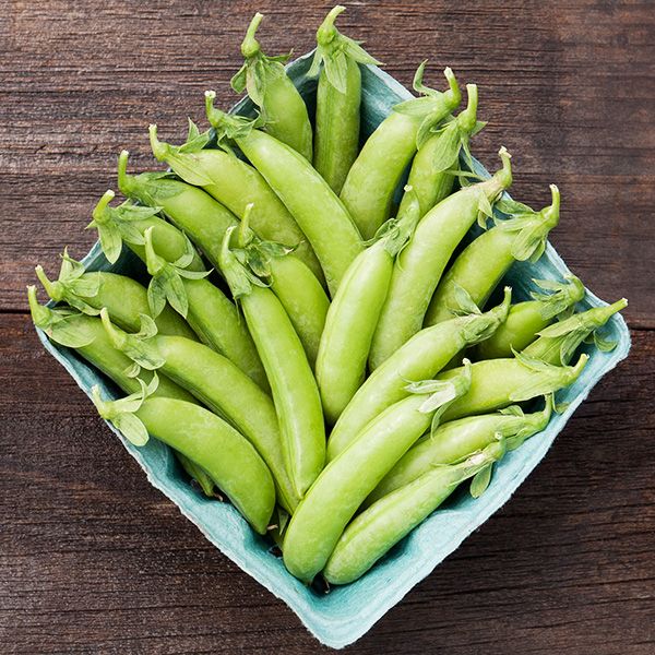 Cascadia Snap Pea - High Mowing Organic Seeds