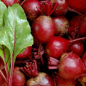 Detroit Dark Red Beet - High Mowing Organic Seeds