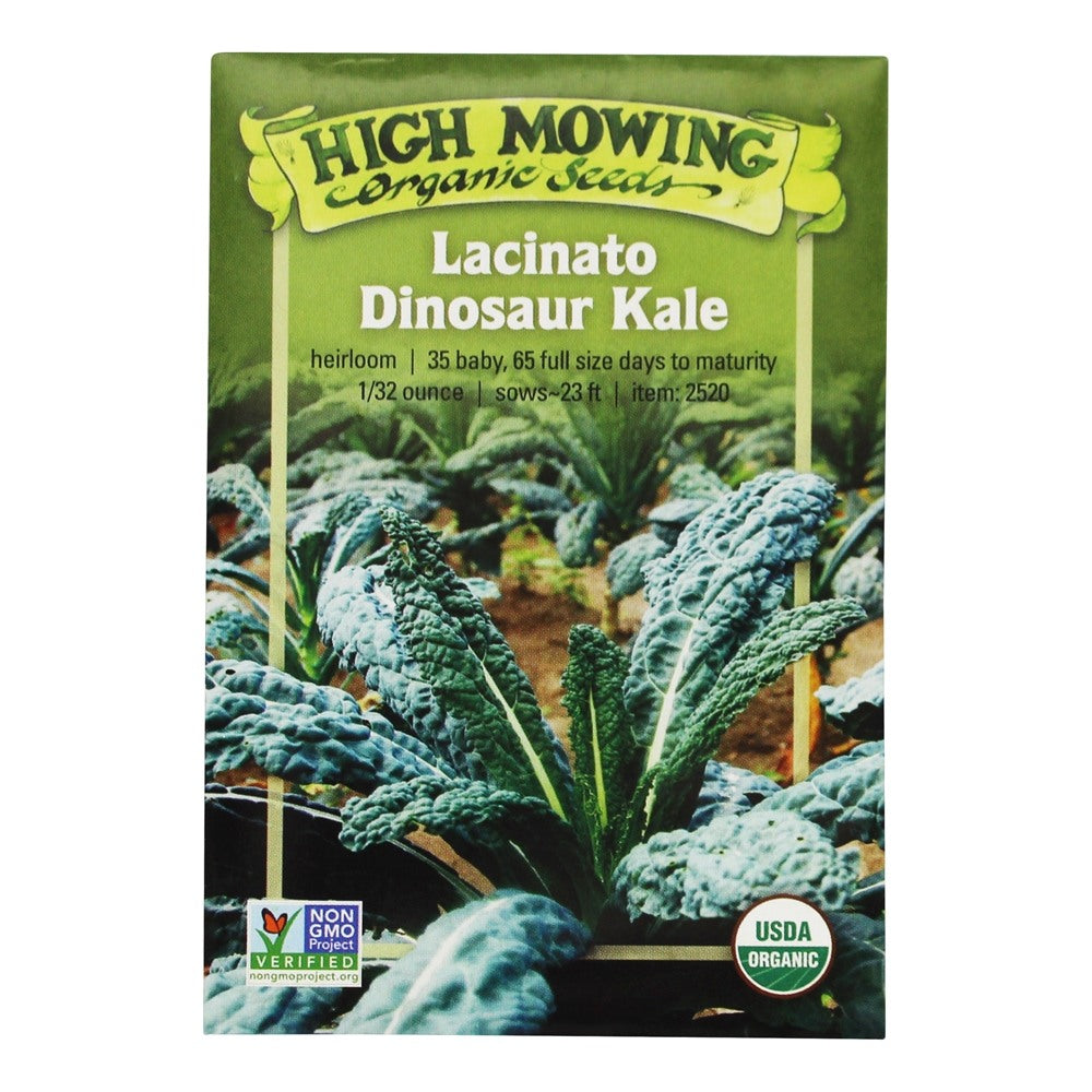 Lacinato Dinosaur Kale - High Mowing Organic Seeds