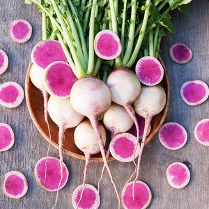 Watermelon Radish - High Mowing Organic Seeds