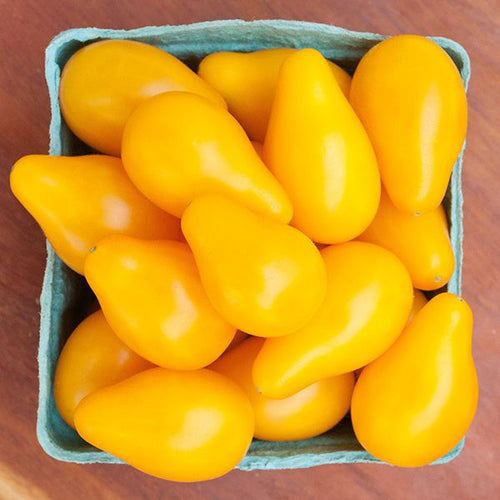 Yellow Pear Cherry Tomato - High Mowing Organic Seeds